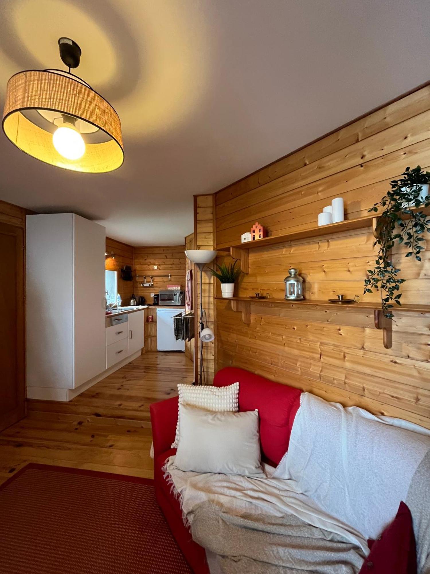 Chalet Des Myrtilles - Chalet Cosy Avec Vue Arette Exteriér fotografie